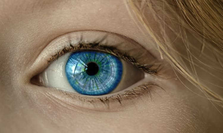 An image in a quiz