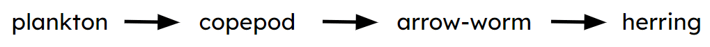 An image in a quiz