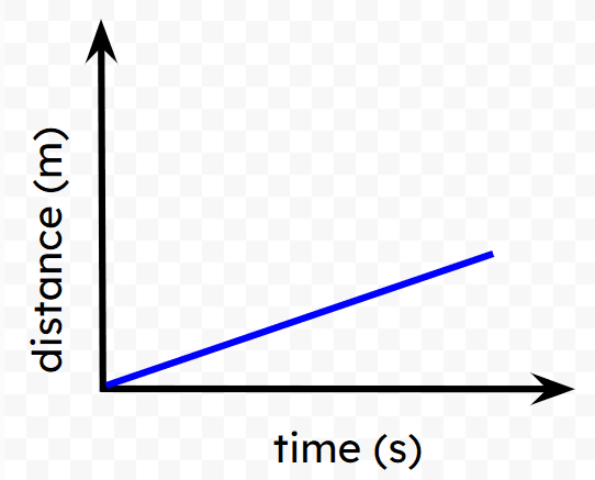 An image in a quiz