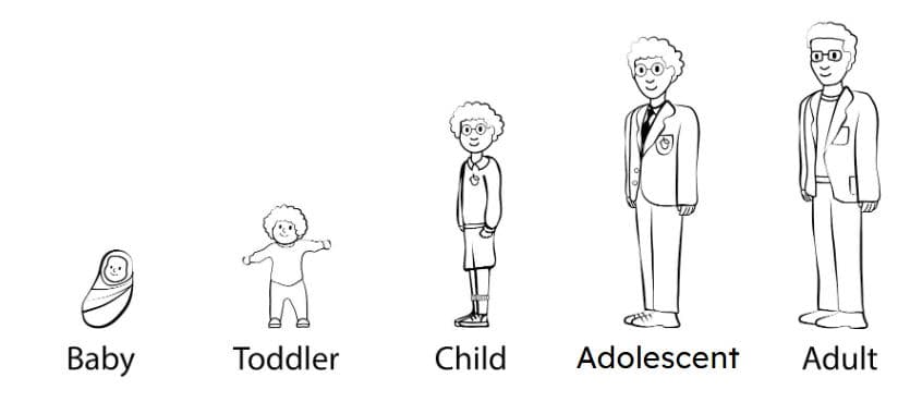 An image in a quiz