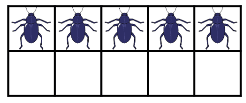 An image in a quiz