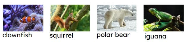 An image in a quiz