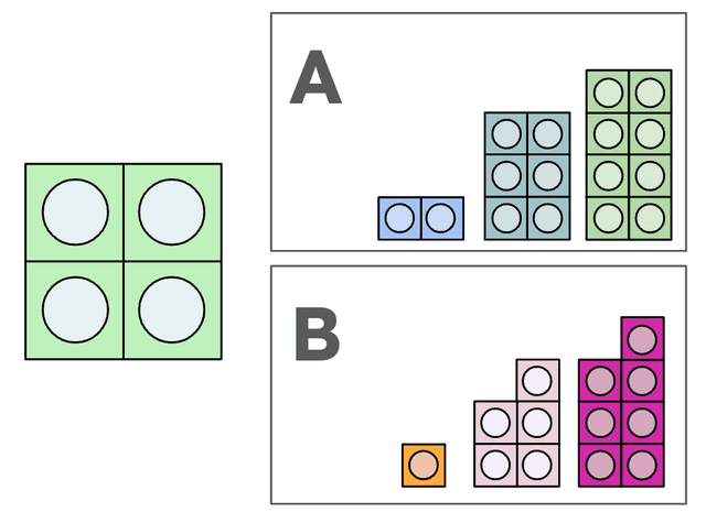 An image in a quiz