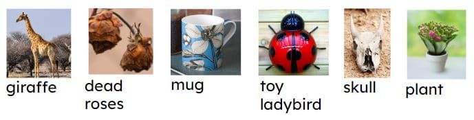 An image in a quiz