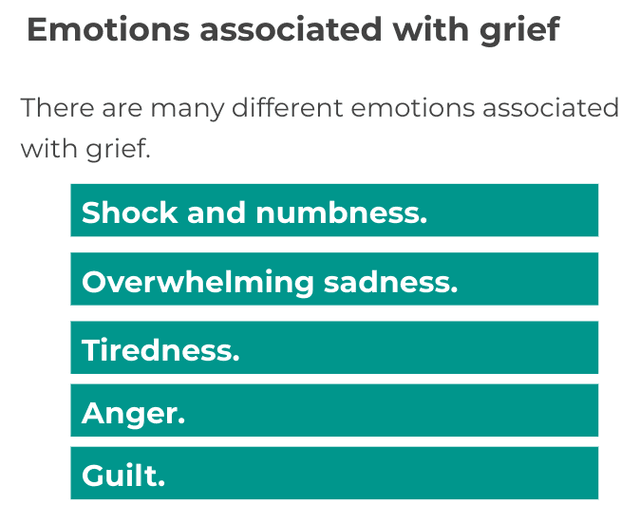 An image in a quiz