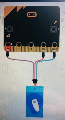 An image in a quiz