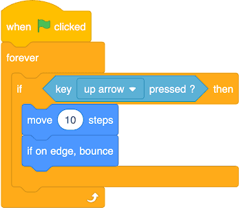 An image in a quiz