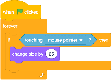 An image in a quiz