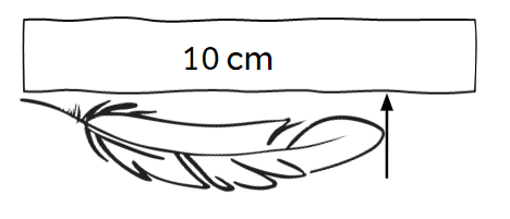 An image in a quiz
