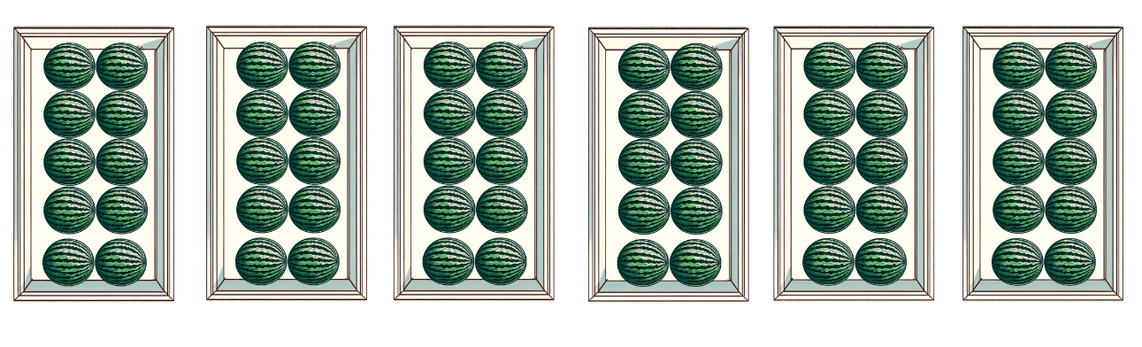 An image in a quiz