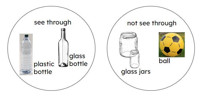 An image in a quiz