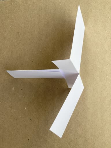 An image in a quiz