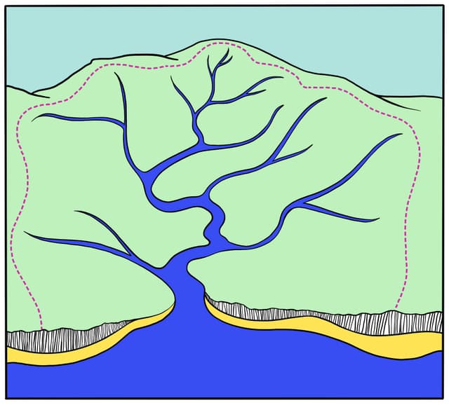 An image in a quiz