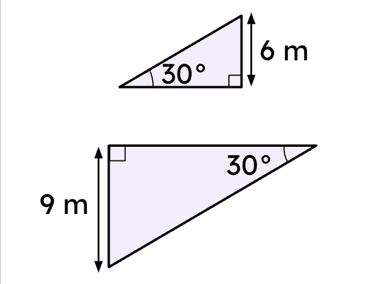An image in a quiz