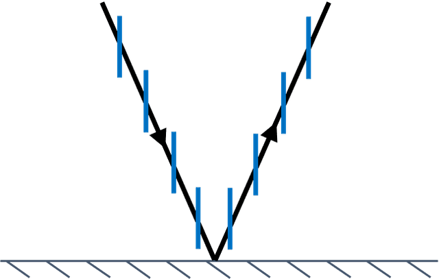 An image in a quiz