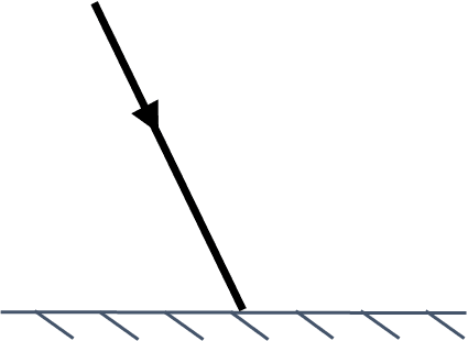 An image in a quiz
