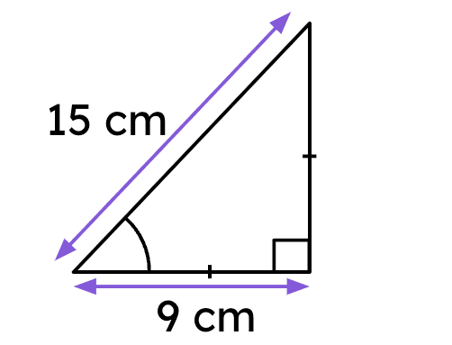 An image in a quiz