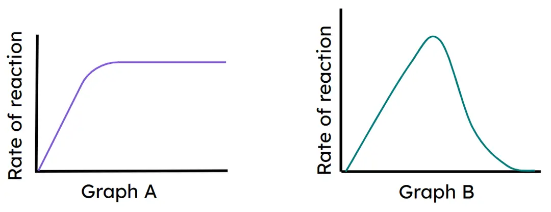 An image in a quiz