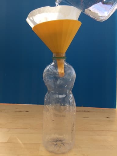 An image in a quiz