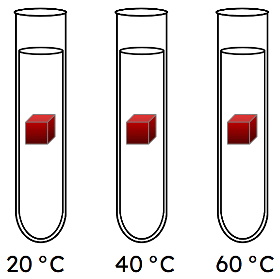 An image in a quiz