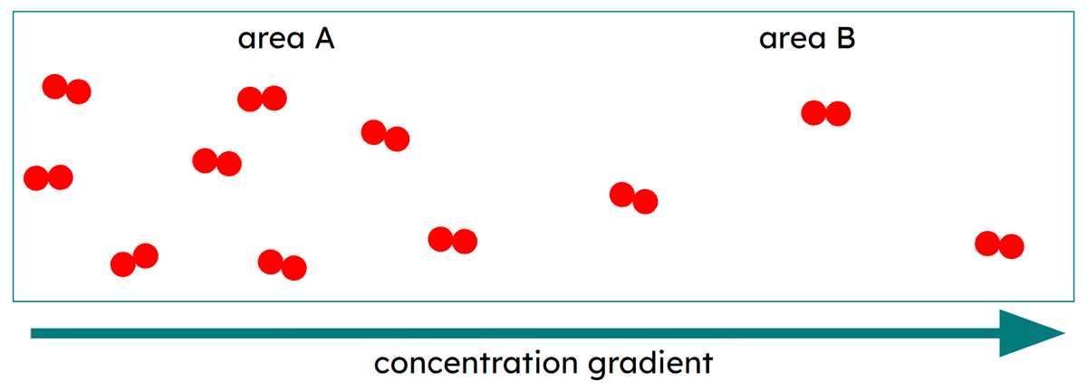 An image in a quiz