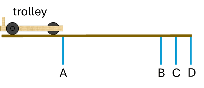 An image in a quiz