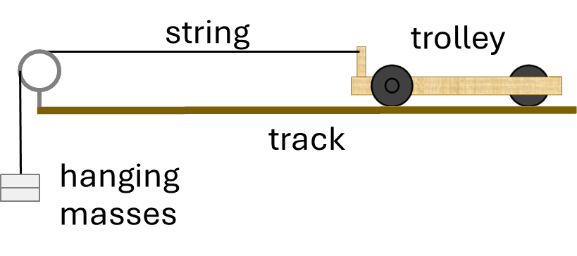 An image in a quiz