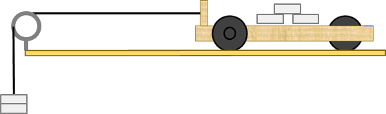 An image in a quiz