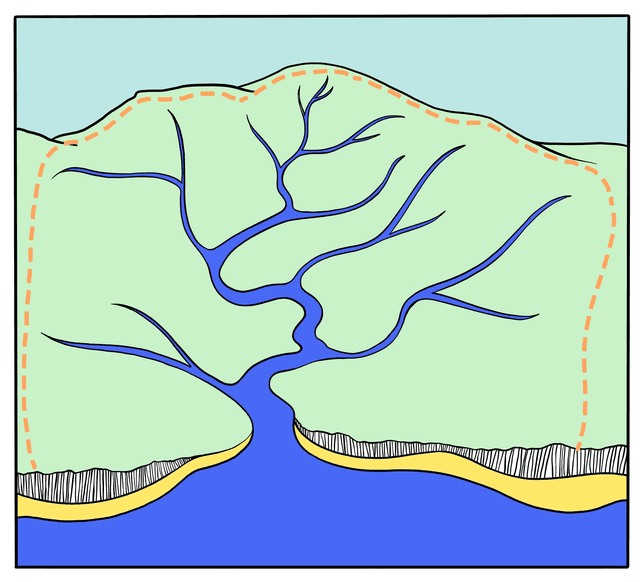 An image in a quiz