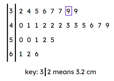 An image in a quiz