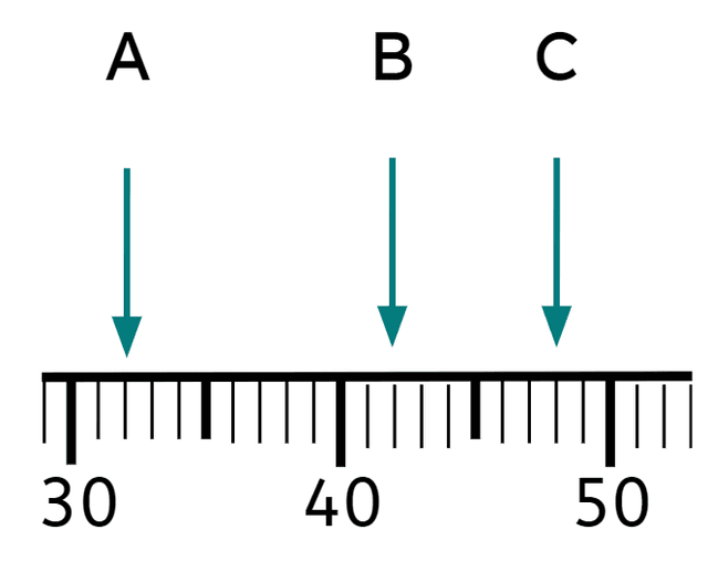 An image in a quiz
