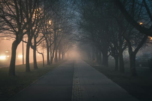An image in a quiz