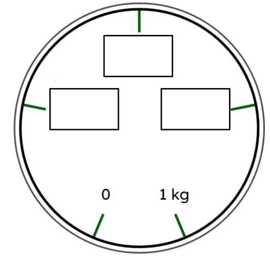 An image in a quiz