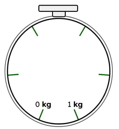 An image in a quiz