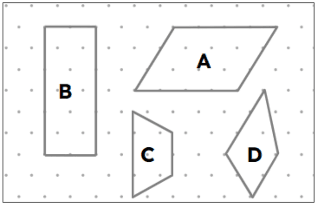 An image in a quiz