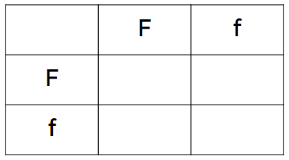 An image in a quiz