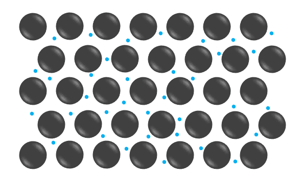 An image in a quiz