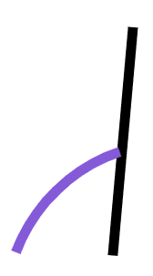 An image in a quiz