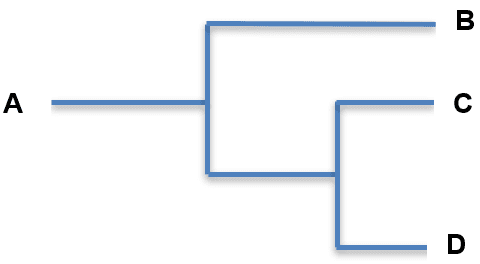 An image in a quiz