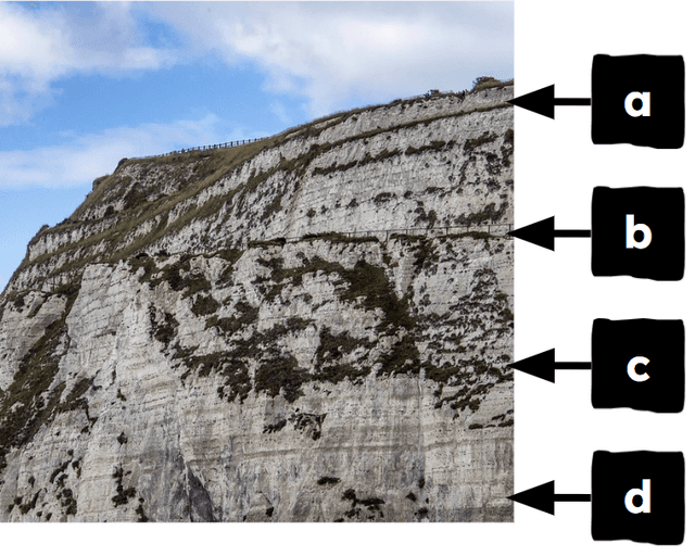 An image in a quiz