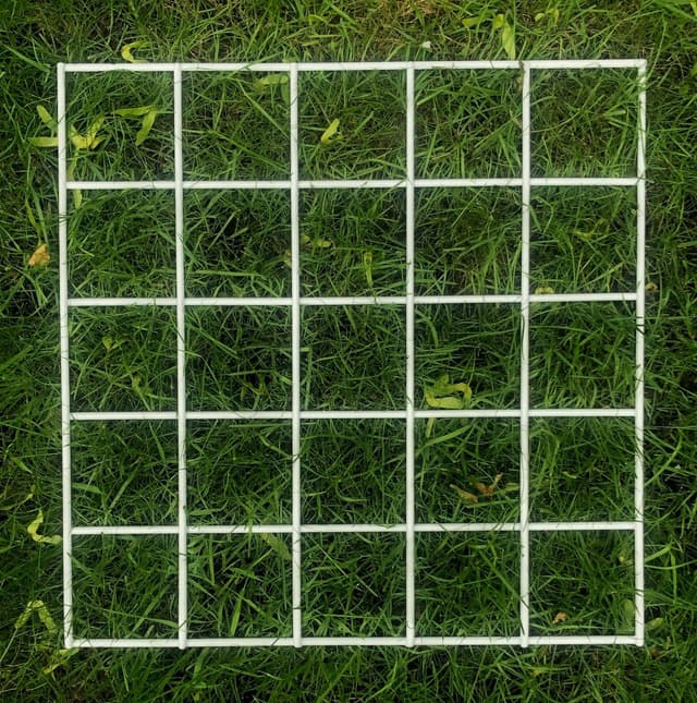 An image in a quiz