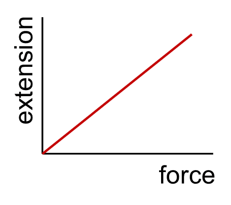 An image in a quiz