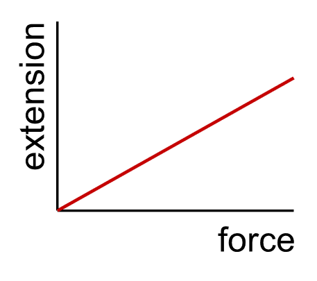 An image in a quiz