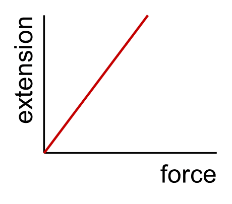 An image in a quiz