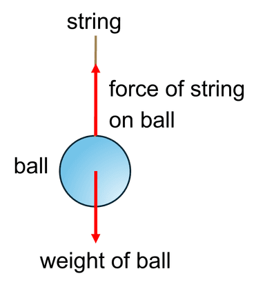 An image in a quiz