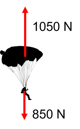 An image in a quiz