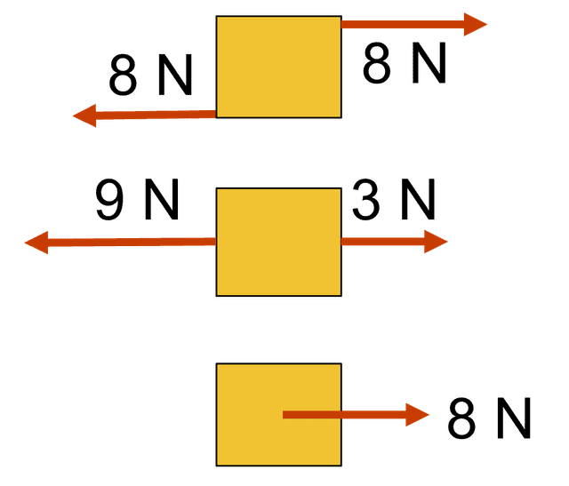 An image in a quiz