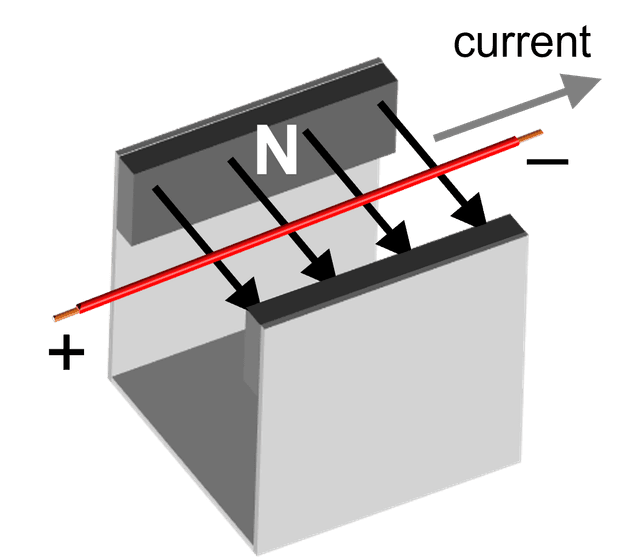 An image in a quiz