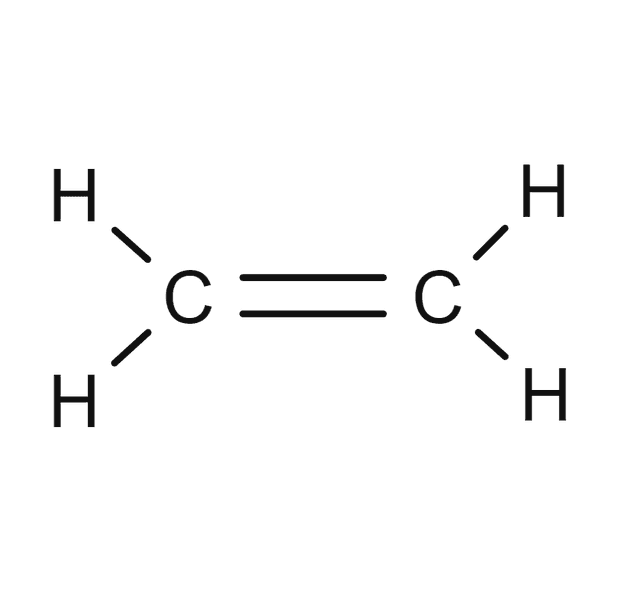 An image in a quiz