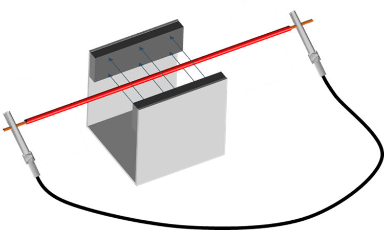 An image in a quiz